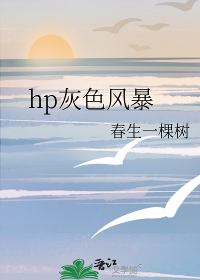 hp灰色风暴